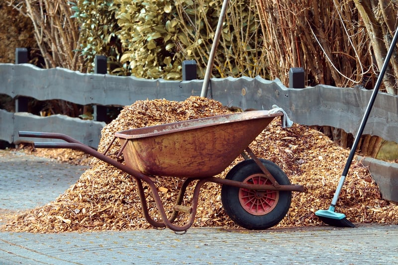 Mulched garden bed