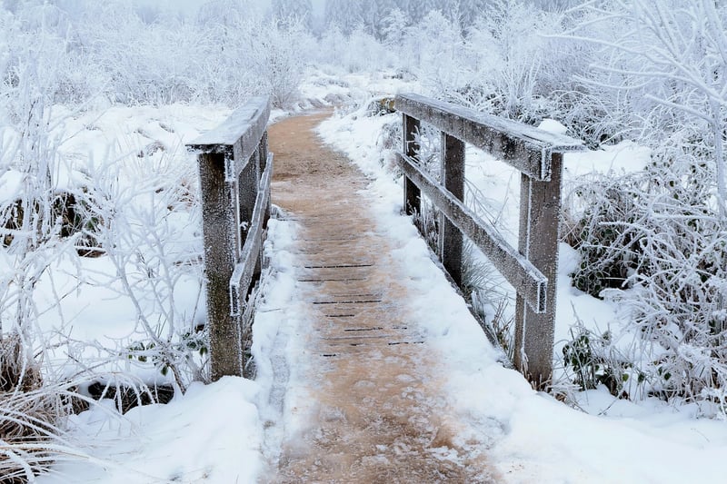 Pathway Lights